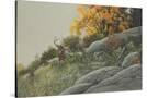 Stretched Canvas