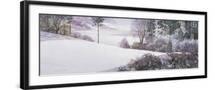 Black Frame