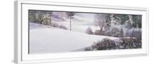White Frame