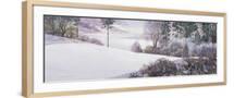 Brown Frame
