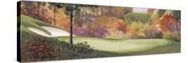 Stretched Canvas