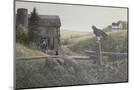 Wood Mount