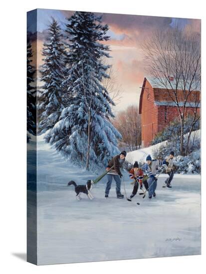 Stretched Canvas Print, , large