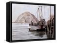 Framed Canvas