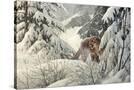 Stretched Canvas