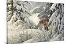 Stretched Canvas