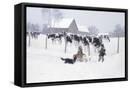 Canvas Black