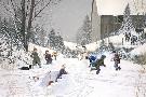 Just the Print