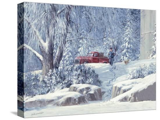 Stretched Canvas Print, , large