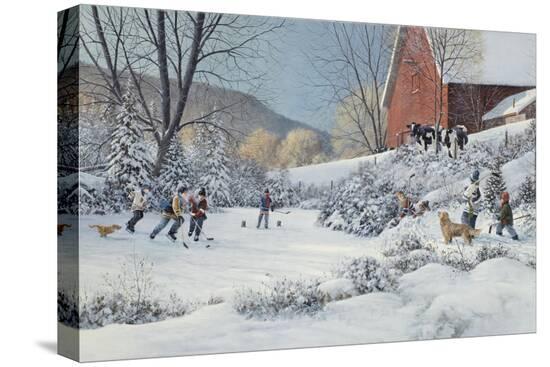 Stretched Canvas Print, , large