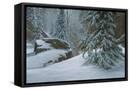 Canvas Black