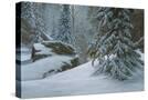 Stretched Canvas