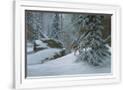 Gramercy White