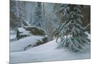 Wood Mount