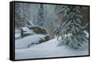 Canvas Black