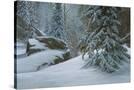 Stretched Canvas