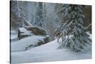 Stretched Canvas