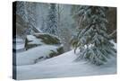 Stretched Canvas