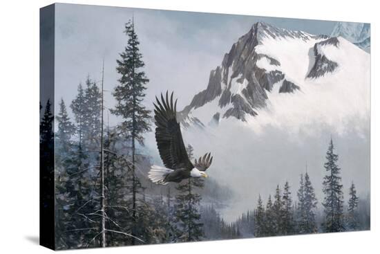 Stretched Canvas Print, , large