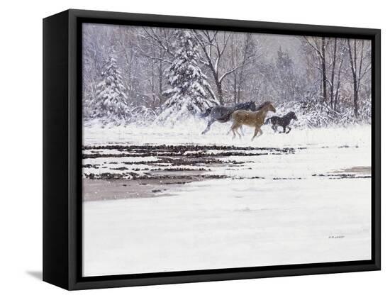 Stretched Canvas Print, , large