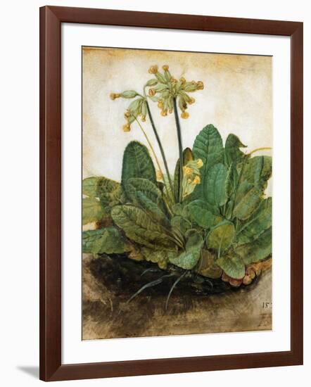 D?Rer: Tuft Of Cowslips-Albrecht Dürer-Framed Giclee Print