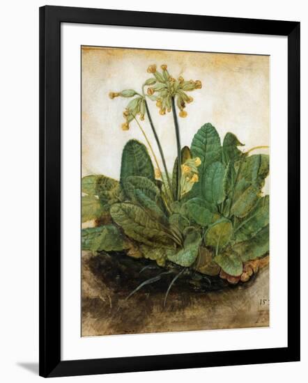 D?Rer: Tuft Of Cowslips-Albrecht Dürer-Framed Giclee Print