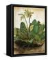 D?Rer: Tuft Of Cowslips-Albrecht Dürer-Framed Stretched Canvas