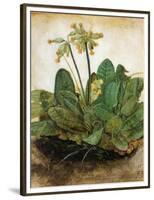 D?Rer: Tuft Of Cowslips-Albrecht Dürer-Framed Premium Giclee Print