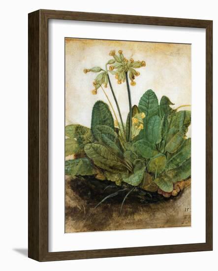 D?Rer: Tuft Of Cowslips-Albrecht Dürer-Framed Giclee Print