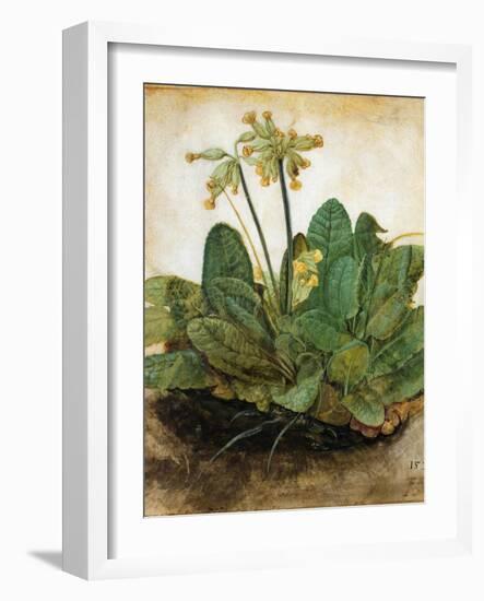 D?Rer: Tuft Of Cowslips-Albrecht Dürer-Framed Giclee Print