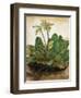 D?Rer: Tuft Of Cowslips-Albrecht Dürer-Framed Giclee Print