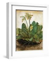 D?Rer: Tuft Of Cowslips-Albrecht Dürer-Framed Giclee Print