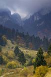 Rock of the King, Piatra Craiului National Park, Transylvania, Carpathian Mountains, Romania-D?rr-Framed Stretched Canvas