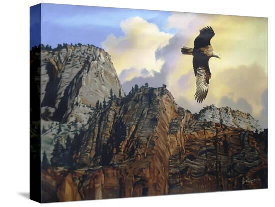 Stretched Canvas Print, , large