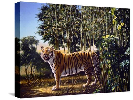 Stretched Canvas Print, , large