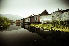Houseboats in Dal Lake in Srinagar, Kashmir-D. Scott Clark-Photographic Print