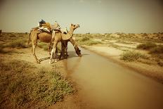 A Rajasthani Woman Carries Her Things on Her Head in a Small Village in Western Rajasthan-D. Scott Clark-Photographic Print