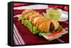 D Shape Samosa Filling-highviews-Framed Stretched Canvas