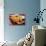 D Shape Samosa Filling-highviews-Photographic Print displayed on a wall