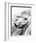 D-Type Jaguar at the 1954 Le Mans-Graham Coton-Framed Giclee Print