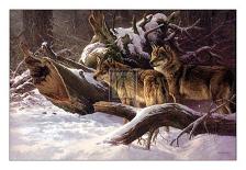 Wolves in Winter-D Van Heerde-Framed Art Print