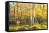 D8 Whitetail Deer In Fall-D. Rusty Rust-Framed Stretched Canvas