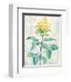 Da Solo I-Telander-Framed Giclee Print