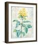 Da Solo I-Telander-Framed Giclee Print