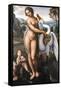 Da Vinci, Leda and the Swan-Leonardo da Vinci-Framed Stretched Canvas