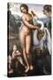 Da Vinci, Leda and the Swan-Leonardo da Vinci-Stretched Canvas