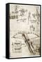 Da Vinci's Crossbow-Library of Congress-Framed Stretched Canvas