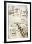 Da Vinci's Crossbow-Library of Congress-Framed Photographic Print