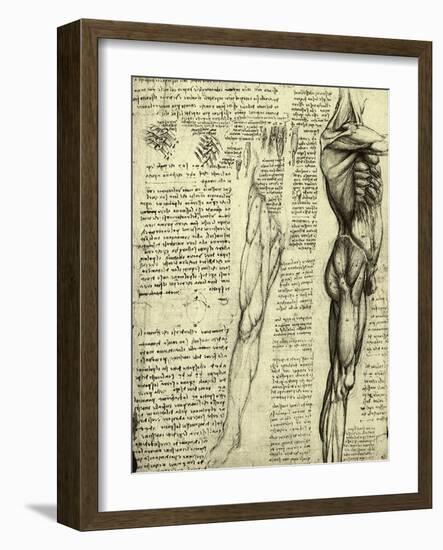 Da Vinci's Man Machine-Leonardo da Vinci-Framed Giclee Print