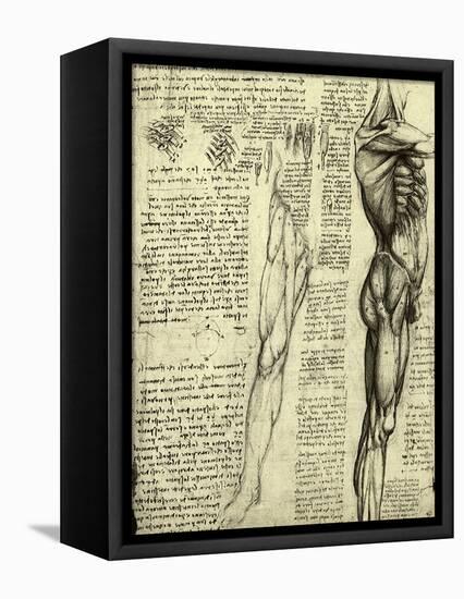 Da Vinci's Man Machine-Leonardo da Vinci-Framed Stretched Canvas